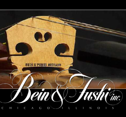 Bein and Fushi