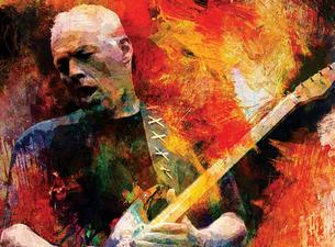 David Gilmour